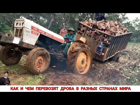 Видео: КАК И ЧЕМ ВОЗЯТ ДРОВА В РАЗНЫХ СТРАНАХ МИРА / TRANSPORTATION OF FIREWOOD IN DIFFERENT COUNTRIES