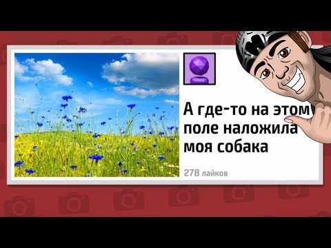 Видео: СОБАКА - НАЛОЖАКА :D ► Выжить в интернете в JackBox Party Pack 4