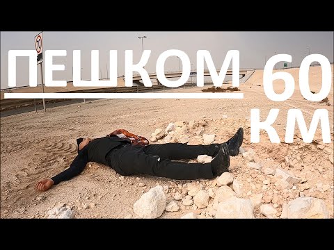 Видео: Прошёл 60 км пешком | Лысый