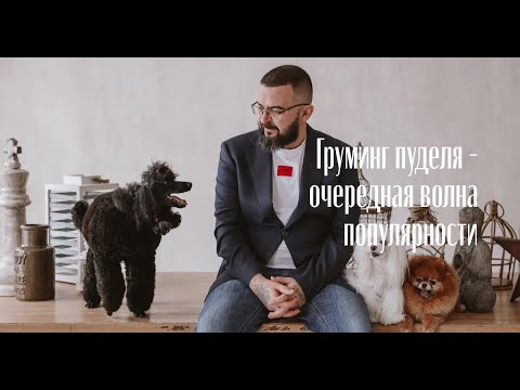 Видео: Вебинар Романа Фомина: "Груминг пуделя - очередная волна популярности"
