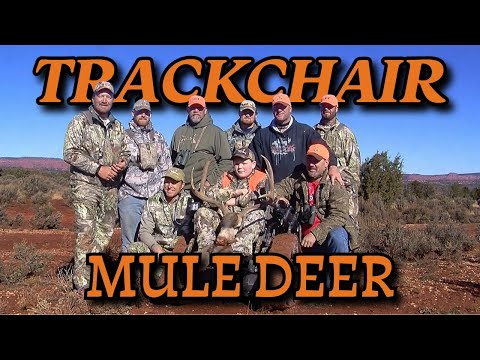 Видео: Парализованный подросток охотится на гигантского оленя-мула в легендарном заповеднике Паунсаугунт...