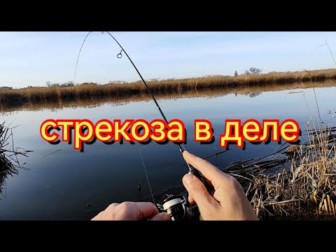 Видео: Мормышинг.Не зря поставил эту приманку-стрекозу.