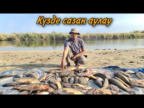 Видео: КҮЗДЕ САЗАН АУЛАУ. Балықтар өте көп. ҚАРМАҚТАР ТОҚТАМАЙ ТАРТТЫ. Ловля дикого сазана. Carp fishing.