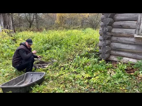 Видео: ЧТО НАШЛИ В ГЛУХОЙ ДЕРЕВНЕ? "МЕДЬ" СТАРИННЫЕ УТЮГИ, КОПЬЁ! КОЛЁСА ОТ ТЕЛЕГ! КОП МЕТАЛЛА