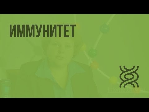 Видео: Иммунитет. Видеоурок по биологии 8 класс