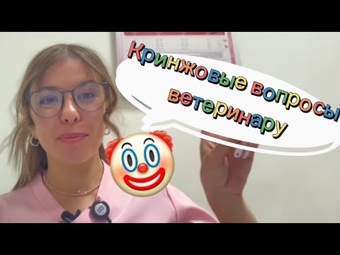 Видео: ТОП глупых вопросов ВЕТЕРИНАРУ, которые задают на приеме 🤡