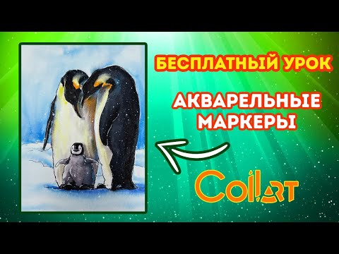 Видео: Рисуем пингвинов АКВАРЕЛЬНЫМИ МАРКЕРАМИ!