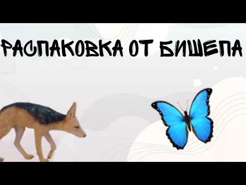 Видео: Распаковка Посылки от Bishep Schleich Studio | НОВИНКИ