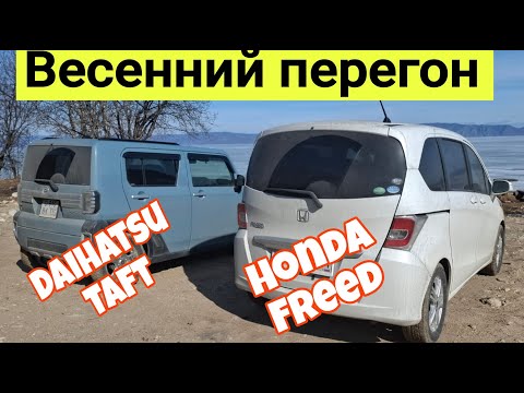 Видео: Весенний перегон Daihatsu Taft и Honda Freed