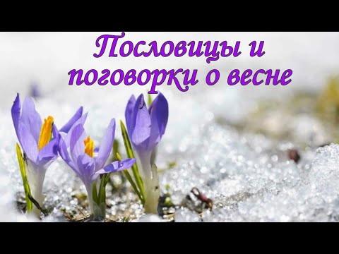 Видео: Пословицы и поговорки о весне детям. #поговорки#весна#пословицы