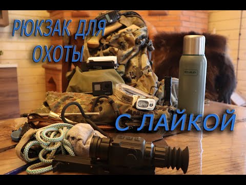 Видео: РЮКЗАК ДЛЯ ОХОТЫ С ЛАЙКОЙ!