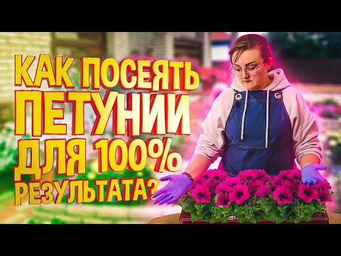 Видео: ПОСЕВ ПЕТУНИЙ! КАК ПРАВИЛЬНО? ЛУЧШАЯ ШПАРГАЛКА ДЛЯ ДАЧНИКА