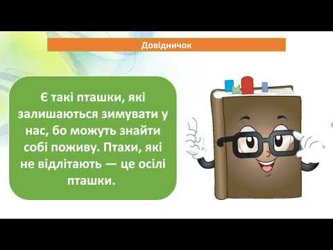 Видео: Тварини восени. ЯДС. 2 клас