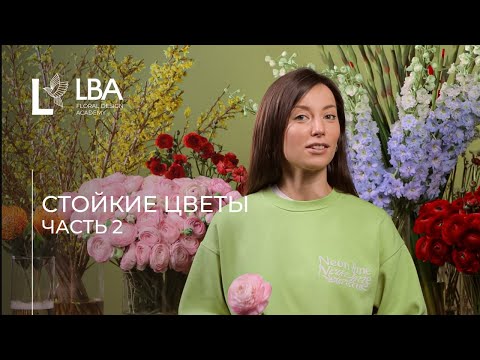 Видео: СТОЙКИЕ ЦВЕТЫ ДЛЯ БУКЕТОВ часть 2 | СОВЕТЫ LBA