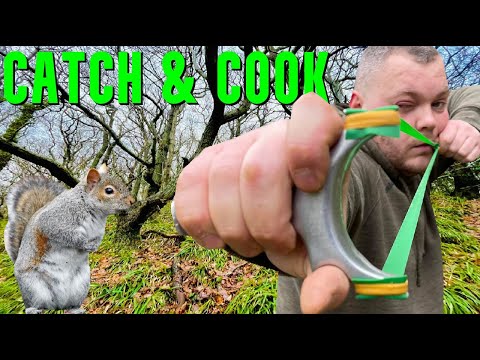 Видео: ОХОТА С КАТАПУЛЬТОЙ - ПОЙМАЙ И ПРИГОТОВЬ, СТРЕЛЬБА ИЗ РОГАТКИ, ВЫЖИВАНИЕ В БЕЛОКЕ, КРОЛИК, ФАЗАН