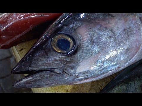 Видео: Бали, Рыбный рынок Джимбаран - как выбрать рыбу, цены
