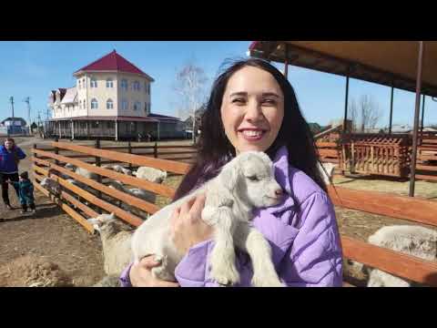 Видео: АН "СОВА" - Тракты Тюмени. Выпуск 5: Старотобольский тракт