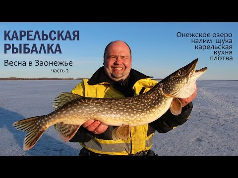 Видео: Зимняя рыбалка в Карелии. Весна в Заонежье. Часть 2