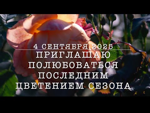 Видео: Тета-волны в саду. Медитация на 13 минут. 4 сент2025