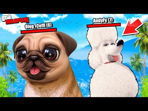 Видео: СТАЛИ СОБАКАМИ НА 24 ЧАСА!!! ЭТО ОЧЕНЬ СМЕШНО! (GTA 5 RP)