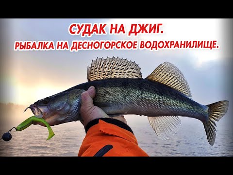 Видео: Судак на джиг. Рыбалка на Десногорском водохранилище.