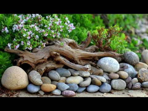 Видео: Волшебство деревенского сада | Дизайн с использованием натуральных камней, коряг и простого очаро...