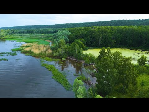 Видео: DJI MINI 4 PRO  RELAX  "ЛЕТНИЕ  ГРЕЗЫ"