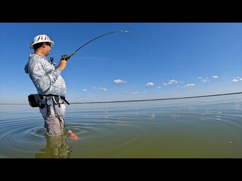 Видео: Ловлю БОЛЬШОГО окуня и крапчатую форель с помощью классических комбо и оригинального пробкового ш...
