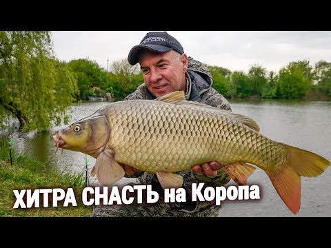 Видео: ЛОВЛЯ КОРОПА на ХИТРУ СНАСТЬ!!!