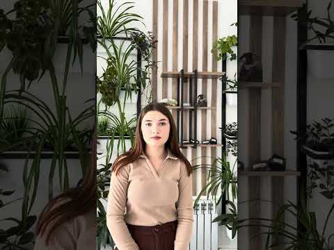 Видео: Один год из жизни волонтёров Темиртауского высшего политехнического коллледжа