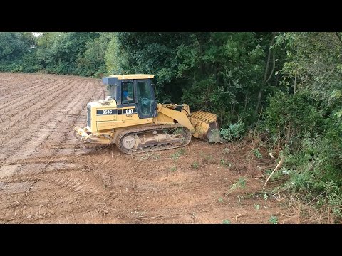 Видео: Расчистка кустарников и посев весенних кормовых культур