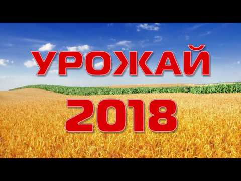 Видео: Урожай - 2018 (Динской район)