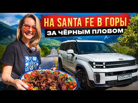 Видео: Ташкент: самый необычный плов в горах на Hyundai Santa Fe