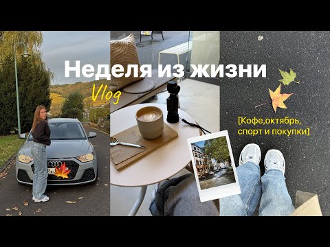 Видео: 25. Подаюсь на ПМЖ в Германии. Покупка новой машины | Уютный осенний Влог 🍂 