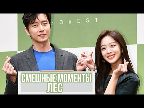 Видео: Смешные моменты к дораме "ЛЕС"