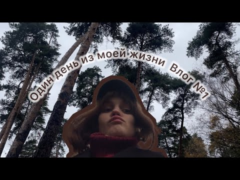 Видео: Первый в жизни Влог. Работа аниматором. Отношение к семье и друзьям