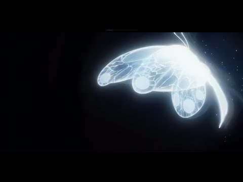 Видео: PHARAOH - Запах Лилий (slowed + reverb)