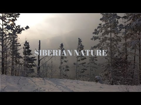 Видео: ✅ 4К Природа Сибири! Енисей! Тайга! Siberian river!