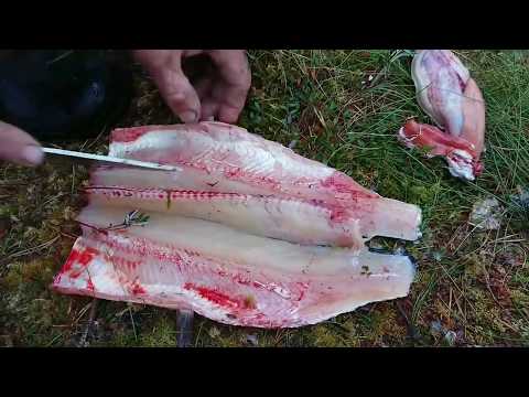 Видео: Свежая щука на костре. Поддавуха по Хантейски!