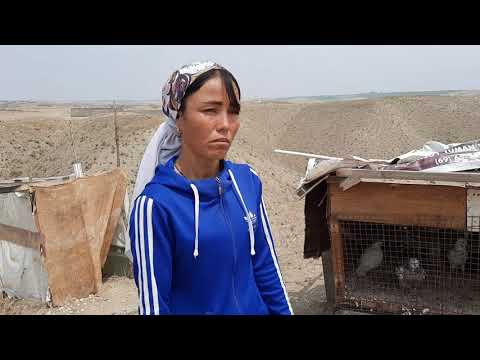 Видео: ТЕЗКОР ! БУ АЁЛГА ПУЛ ЙИҒИБ БЕРИЛГАН.. ПУЛ ТАШЛАМАНГ