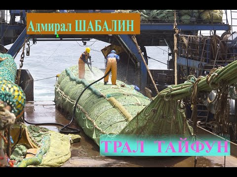 Видео: Рыболовное судно «Адмирал Шабалин»,  ловля рыбы тралом Тайфун (2005)"