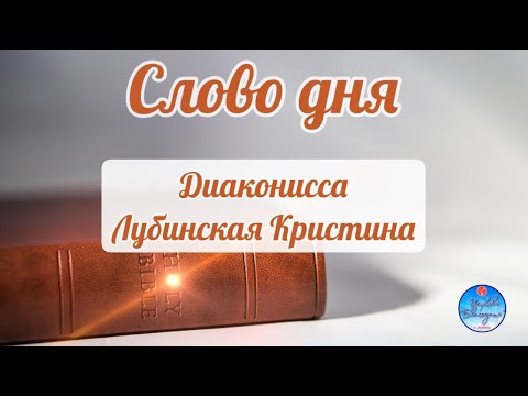 Видео: Слово дня, 15 ноября 2025 «Плод»