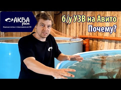 Видео: Почему продают бу УЗВ на Авито. 5 причин закрытия бизнеса по выращиванию рыбы в УЗВ #узв #авито