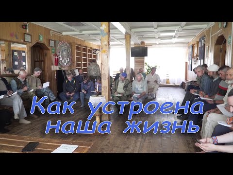 Видео: Как устроена наша жизнь.