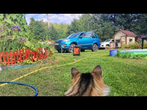 Видео: Chery Tiggo 3 ( Чери Тигго 3) честный работяга за 700