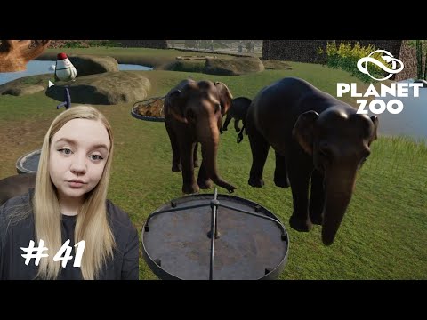Видео: В бизнес с головой ➤ Planet Zoo #41
