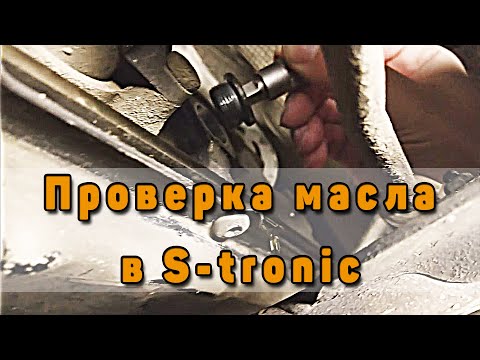 Видео: Продольный S-tronic проверка уровня масла. DL501 KLL NGV