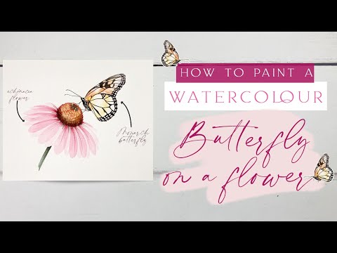 Видео: Урок по рисованию акварельной бабочки на цветке | Бабочка монарх на цветке эхинацеи