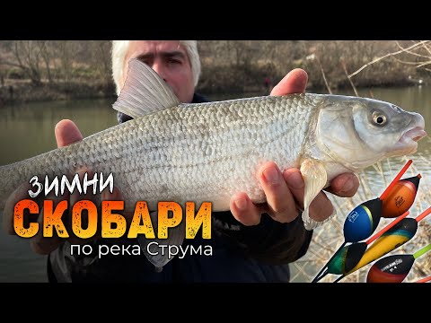 Видео: Зимни "КЪРПЕЛИ" по р.Струма / Как надхитряме едрите СКОБАРИ?...
