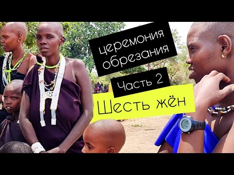Видео: Масаи 2. Шесть жён. Народ Масаи и праздник обрезания. Африка.